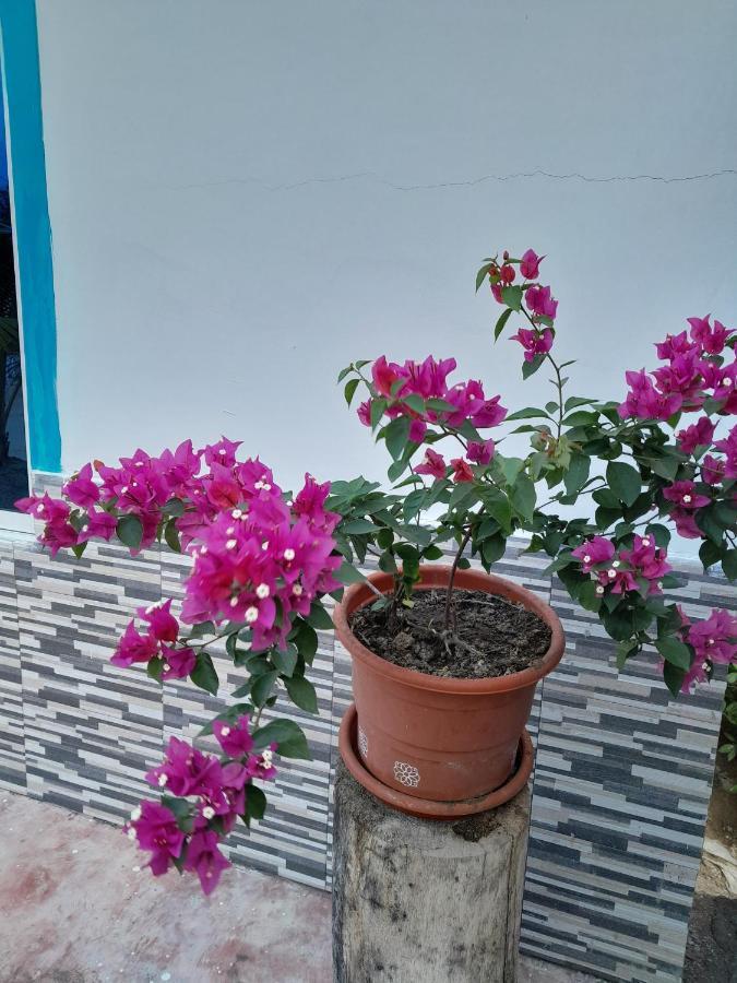 Playa Mag Hotel Coveñas Buitenkant foto